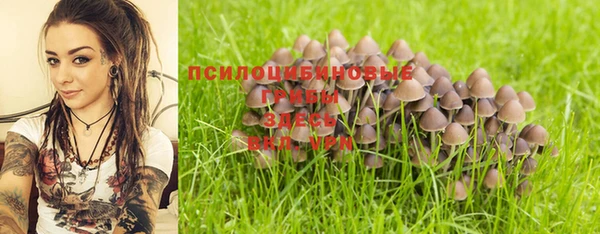 первитин Абинск